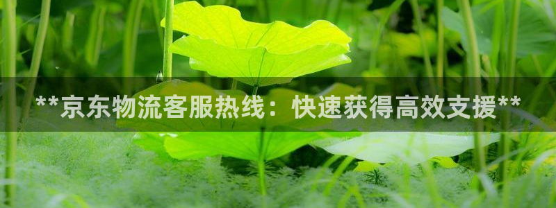 28圈能提现吗：**京东物流客服热线