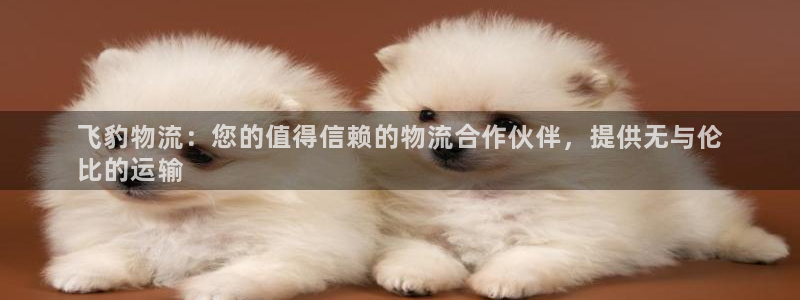 28圈登录流程：飞豹物流：您的值得信