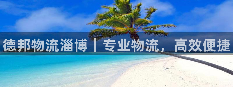 28圈注册网站多少钱：德邦物流淄博｜