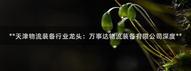 28圈机器人是什么软件：**天津物流