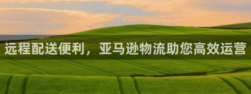 28圈提现不到账：远程配送便利，亚马