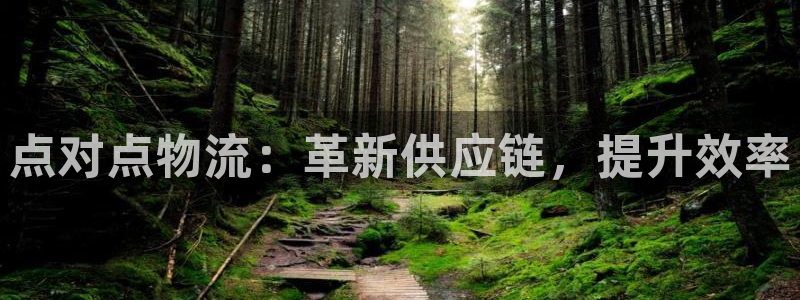 28圈新用户怎么注册：点对点物流：革