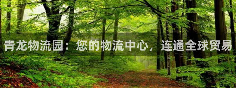 28圈.ccmpc是诈骗吗?：青龙物