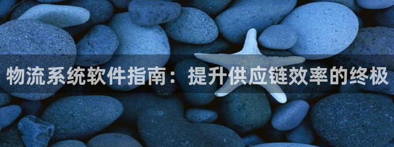 28圈充值不处理怎么办：物流系统软件