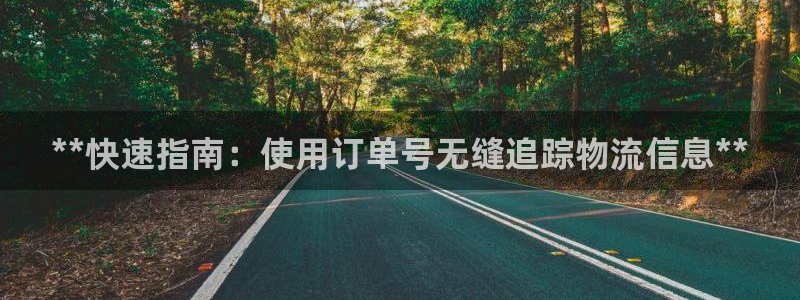 28圈登录流程：**快速指南：使用订