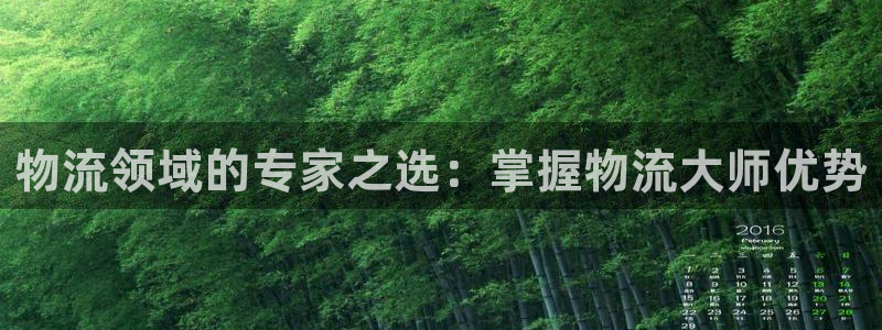 28圈连输10天：物流领域的专家之选