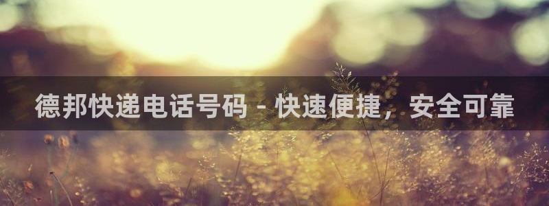 28圈怎么下载不了：德邦快递电话号码