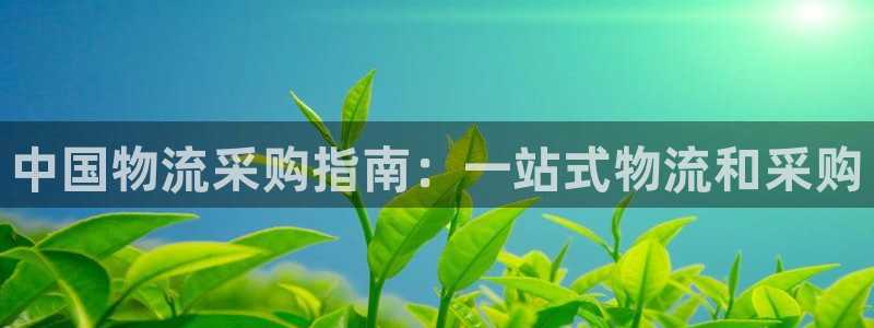 28圈选28ng官网：中国物流采购指
