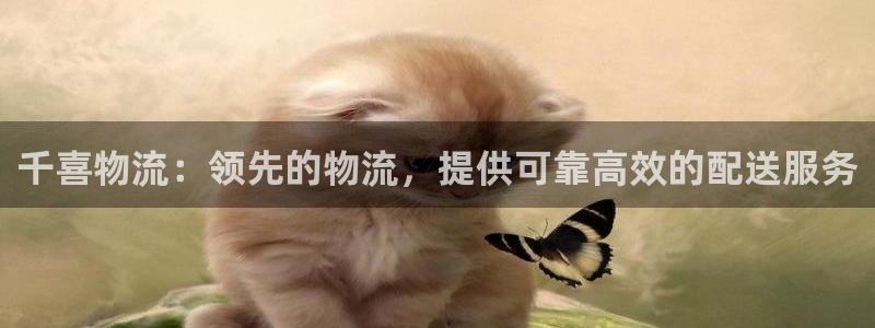 28圈如何注销账号
