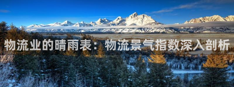 28圈充值不到账怎么回事：物流业的晴