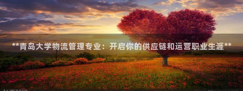 28圈软件有什么用：**青岛大学物流
