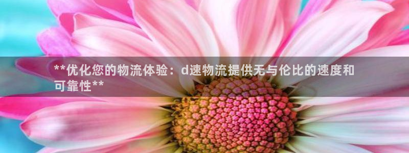 28圈注册条件：**优化您的物流体验