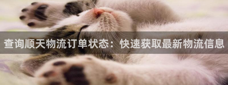 28圈加拿大在线预测：查询顺天物流订