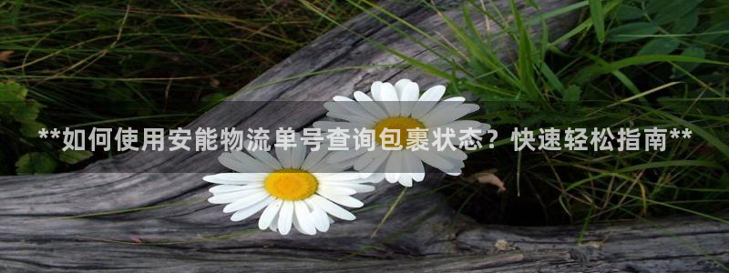28圈下分了不给钱：**如何使用安能