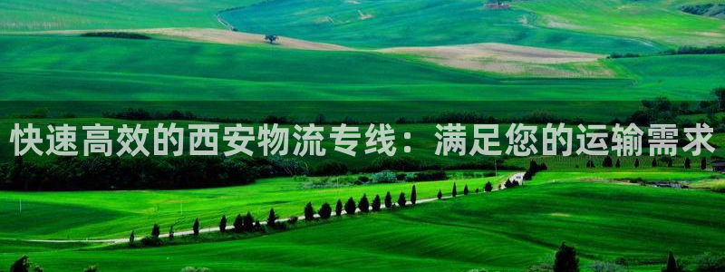 28圈注册链接入口：快速高效的西安物
