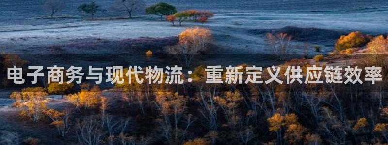 28圈大舞台