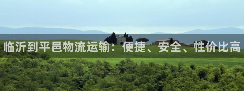 28圈p扣款什么意思：临沂到平邑物流