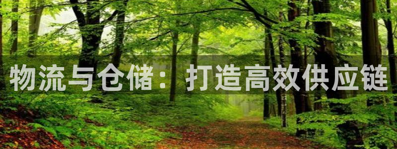 28圈注册限制怎么解除：物流与仓储：