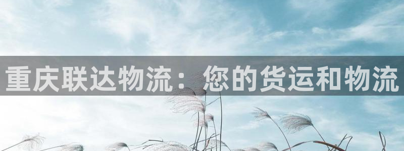 28圈游戏最新版：重庆联达物流：您的