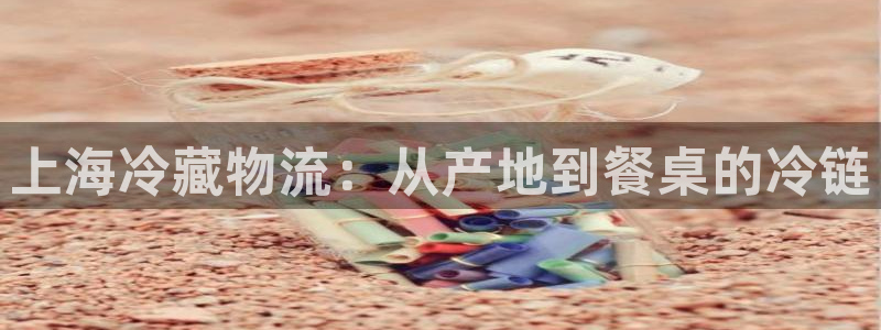28圈充值不处理怎么办：上海冷藏物流