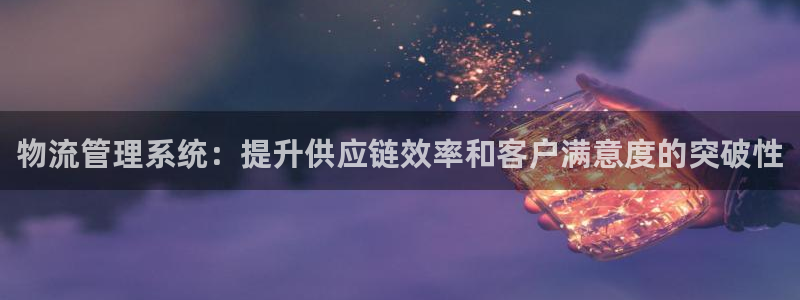 南宫28圈怎么注册：物流管理系统：提