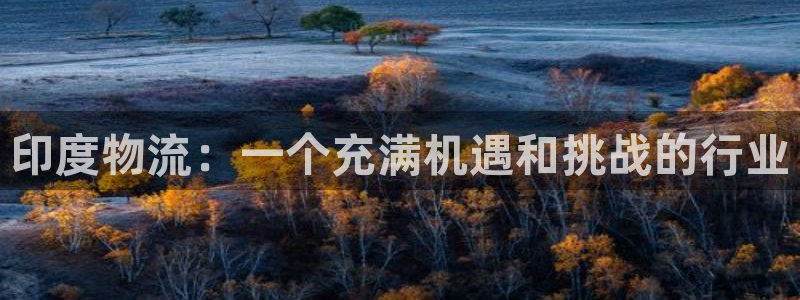 28圈注册网址：印度物流：一个充满机
