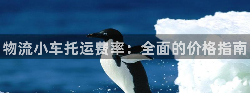 28圈注册用户名是什么：物流小车托运