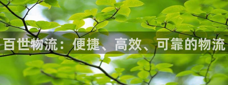 28圈官网链接：百世物流：便捷、高效