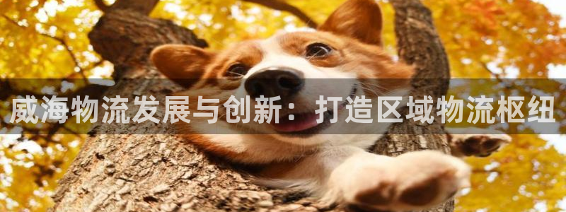 28圈链官网：威海物流发展与创新：打