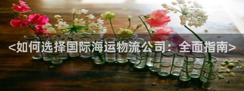 28圈注册网站谁有：<如何选择国际海