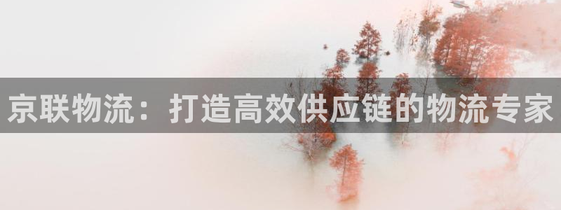 28圈注册限制怎么解除：京联物流：打