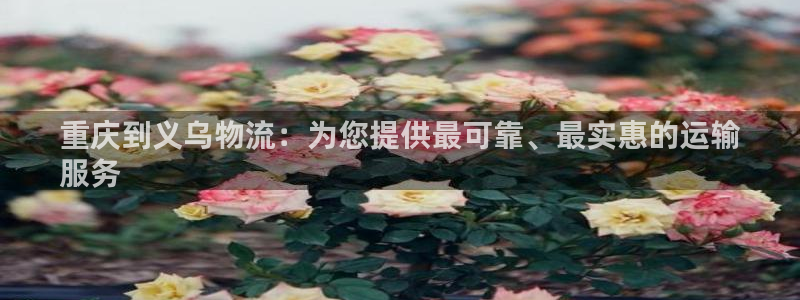 28圈注册登录链接流程：重庆到义乌物