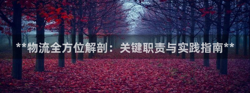 28圈怎么注册游戏名字：**物流全方