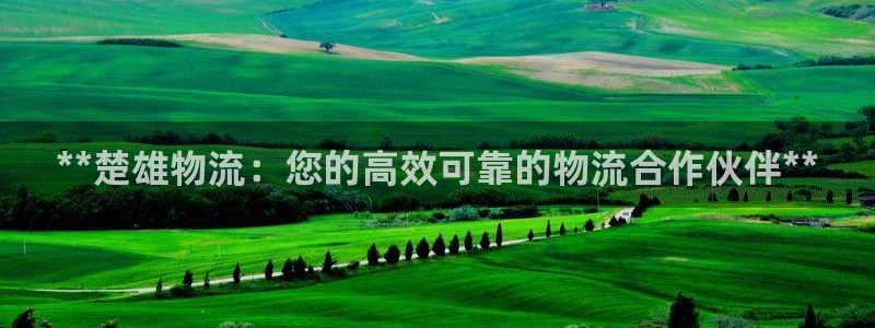 28圈注册送：**楚雄物流：您的高效
