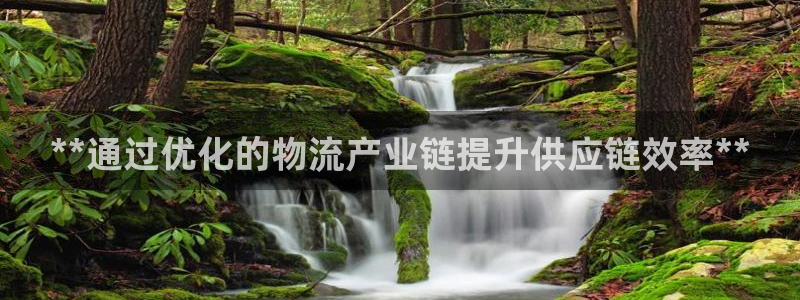 28圈注册网站：**通过优化的物流产