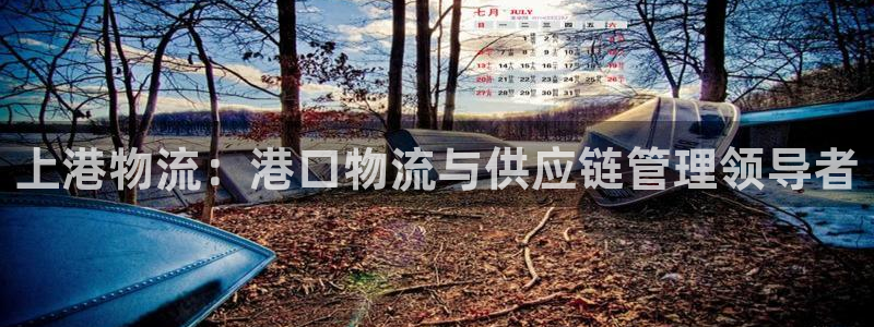 28圈官网下载链接是什么网站：上港物