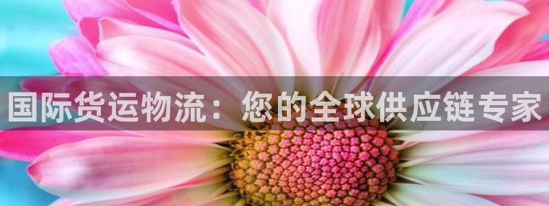 28圈链接：国际货运物流：您的全球供