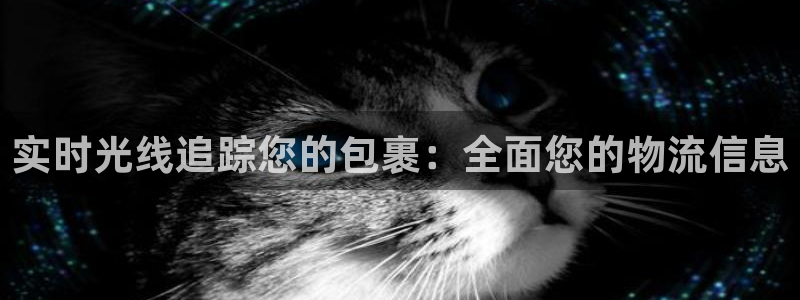 28圈加拿大app预测：实时光线追踪