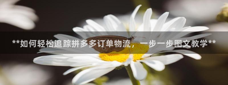 28圈如何看计划