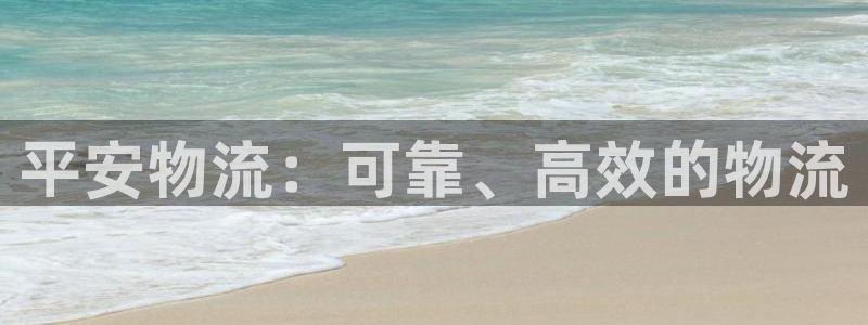 28圈连接：平安物流：可靠、高效的物