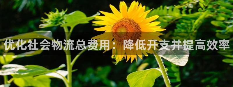 28圈网赌案件