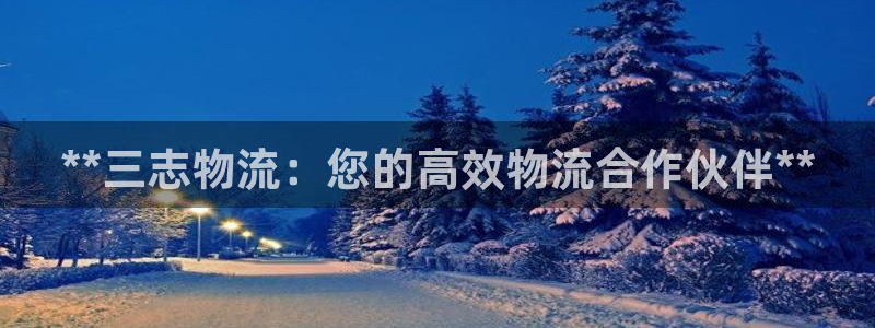 28圈麻将