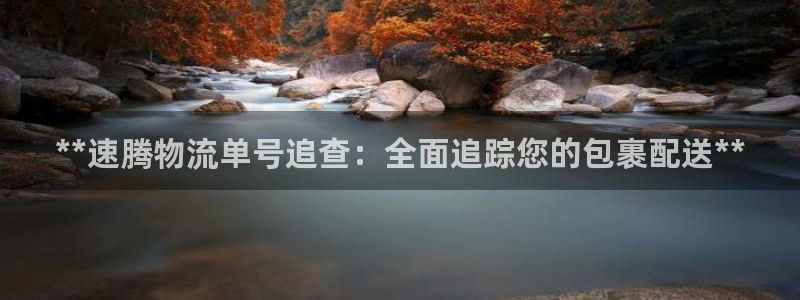 加拿大28圈数字规则