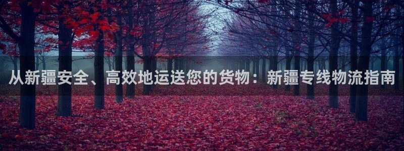28圈比特28预测在线预测：从新疆安