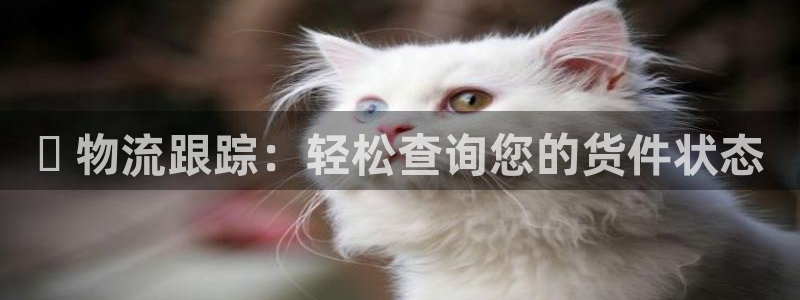 28圈机器人是什么软件