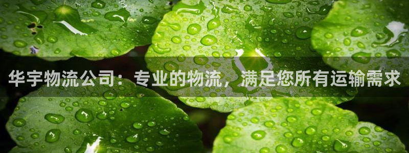 28圈的自行车