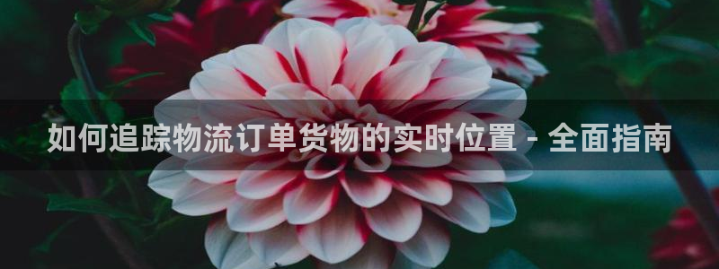 28圈为什么打不开：如何追踪物流订单