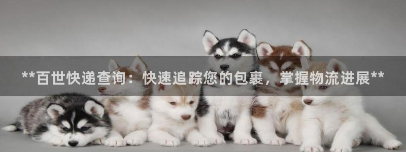 28圈官方：**百世快递查询：快速追