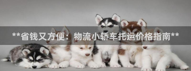 28圈新用户怎么注册：**省钱又方便
