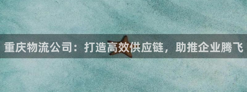 28圈娱乐官网网页：重庆物流公司：打